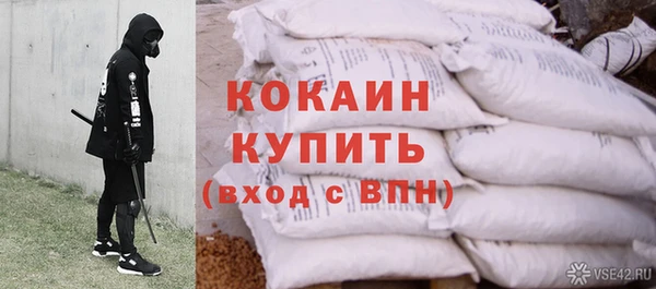 спайс Няндома