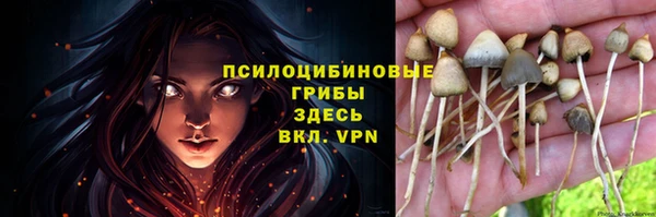 кокаин VHQ Новодвинск