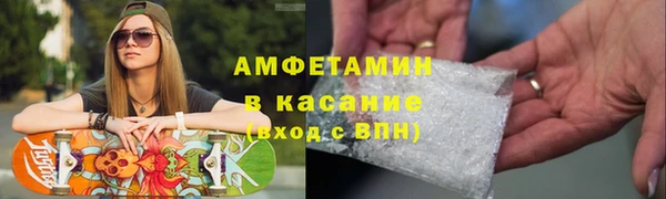 прущие грибы Нягань