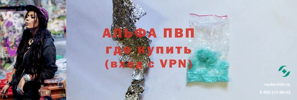 спайс Няндома