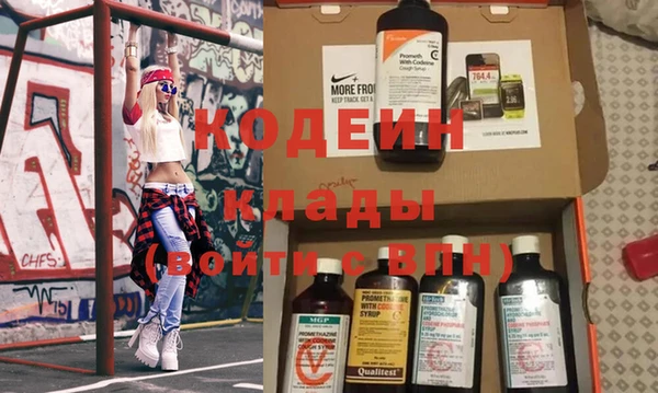 прущие грибы Нягань