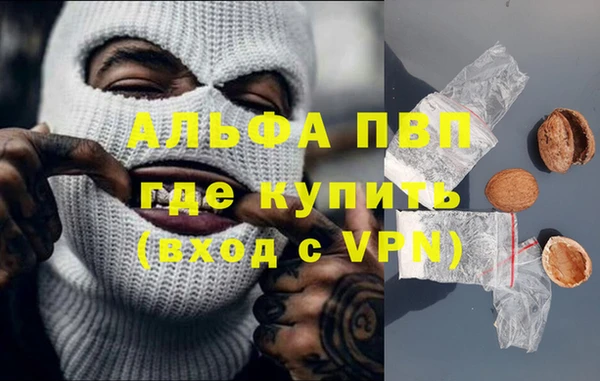 спайс Няндома