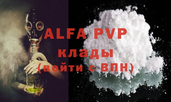 спайс Няндома