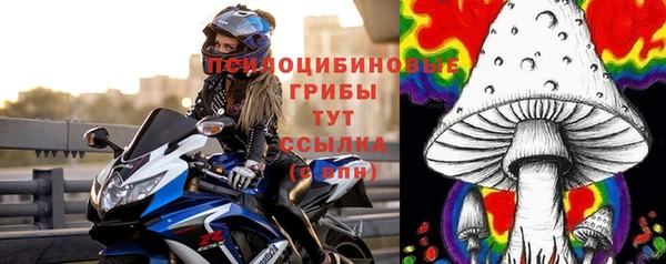 МДМА Новозыбков