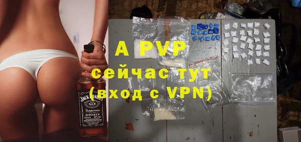 спайс Няндома