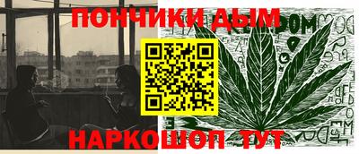 крисы Камышлов