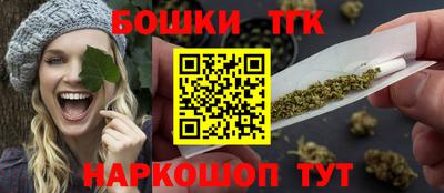 крисы Камышлов