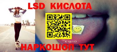 крисы Камышлов