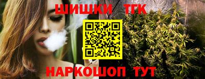 крисы Камышлов
