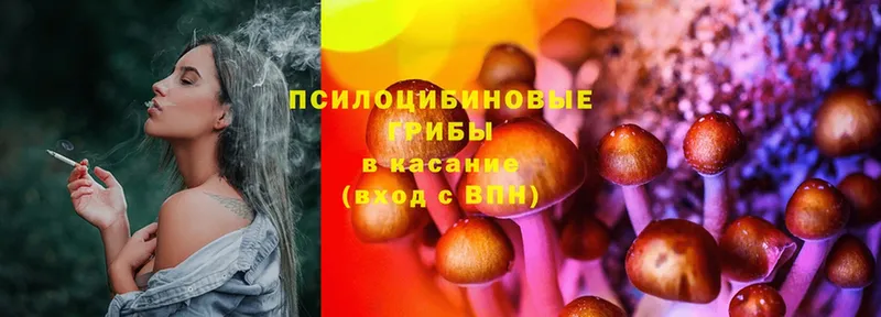 Галлюциногенные грибы Psilocybine cubensis  цена наркотик  Приморско-Ахтарск 