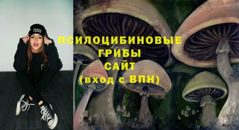 Псилоцибиновые грибы Psilocybe Приморско-Ахтарск