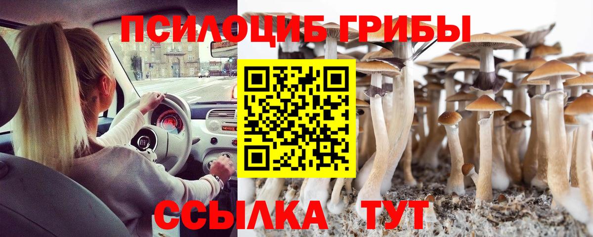 Галлюциногенные грибы ЛСД  наркотики  Приморско-Ахтарск 
