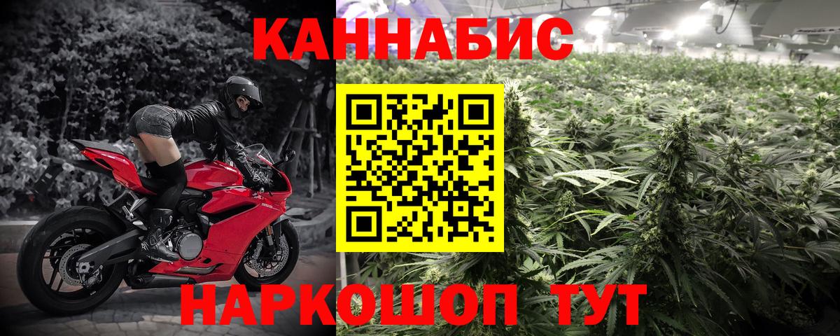 Бошки марихуана Bruce Banner Приморско-Ахтарск